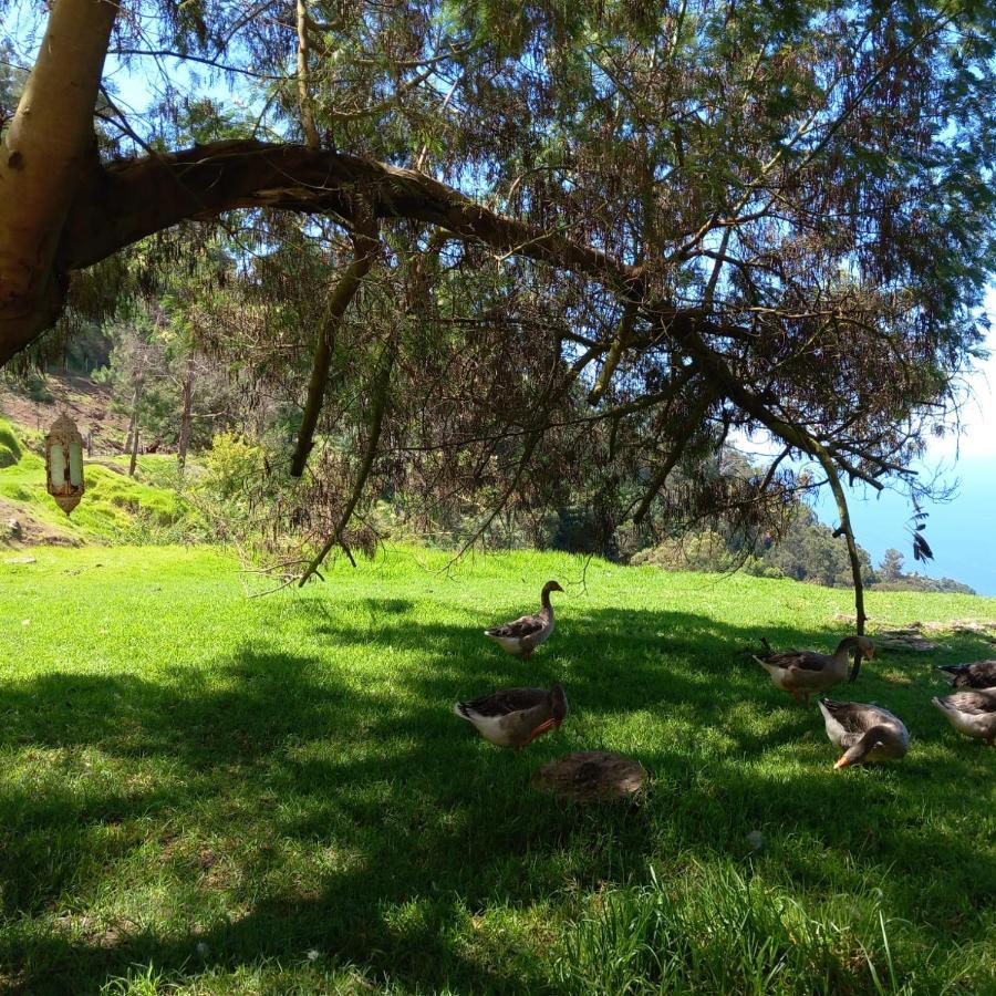 Arambha Ecovillage Farmstay Tabua  Luaran gambar