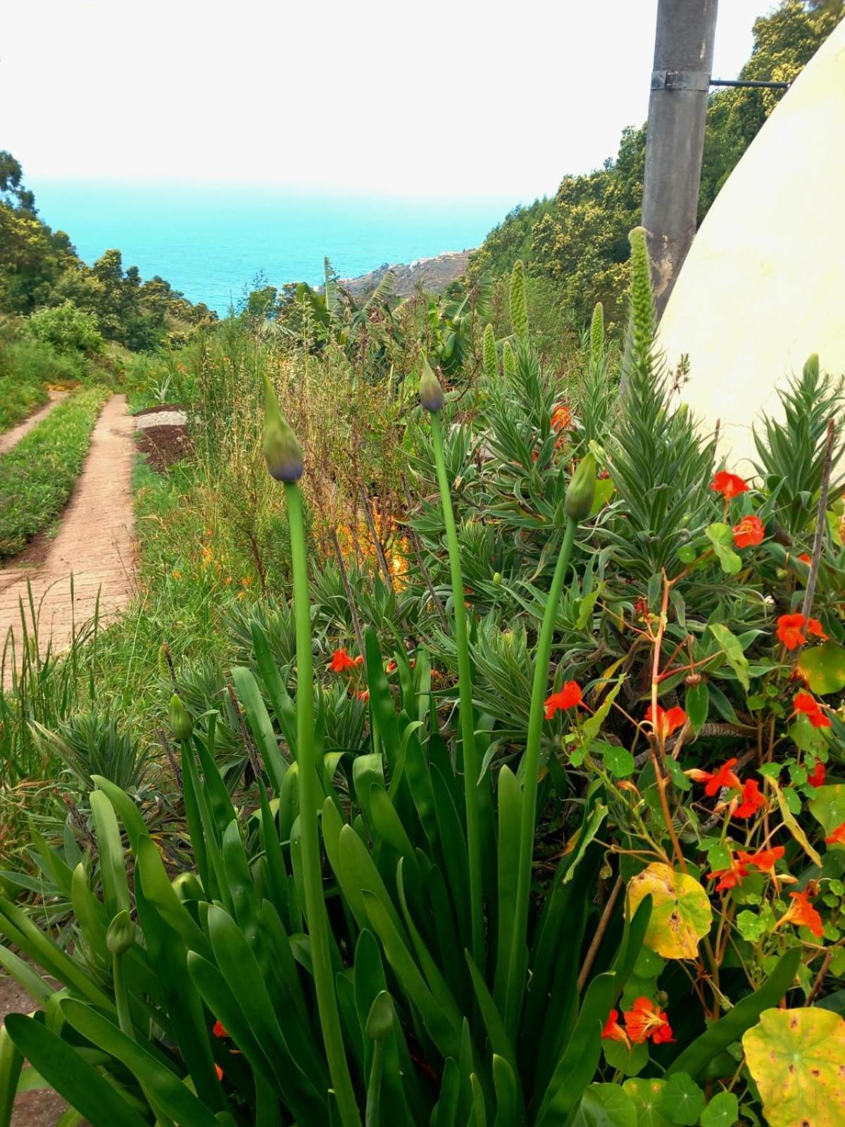 Arambha Ecovillage Farmstay Tabua  Luaran gambar