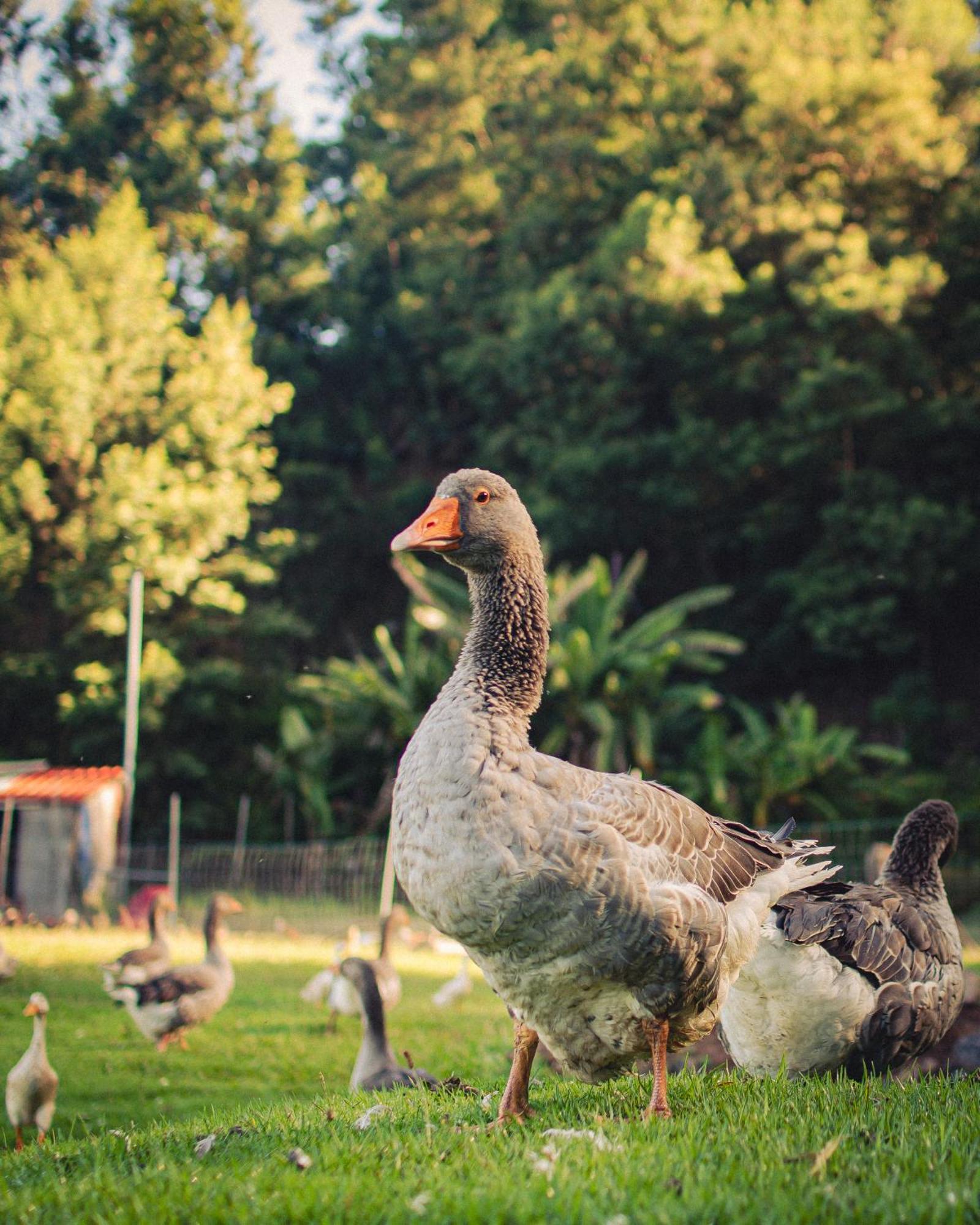 Arambha Ecovillage Farmstay Tabua  Luaran gambar