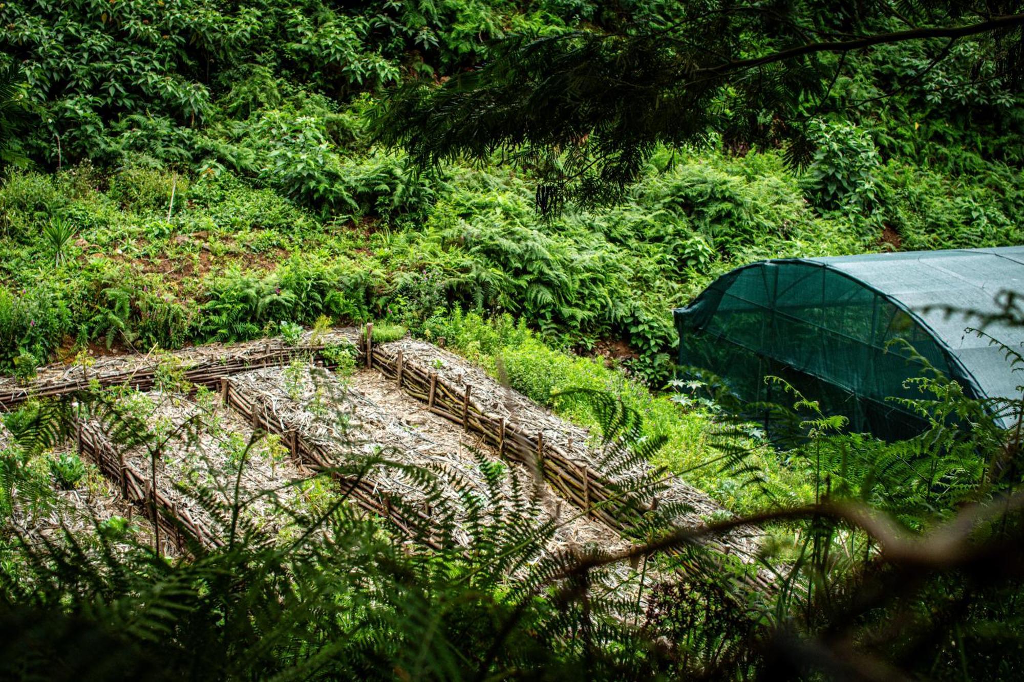 Arambha Ecovillage Farmstay Tabua  Luaran gambar